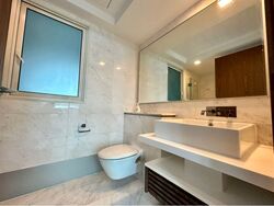 Suites At Orchard (D9), Apartment #578686181